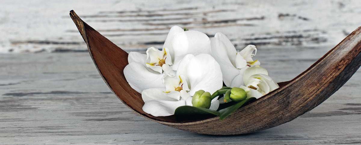 SHIATSU – Berührung die bewegt
